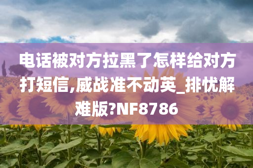 电话被对方拉黑了怎样给对方打短信,威战准不动英_排忧解难版?NF8786