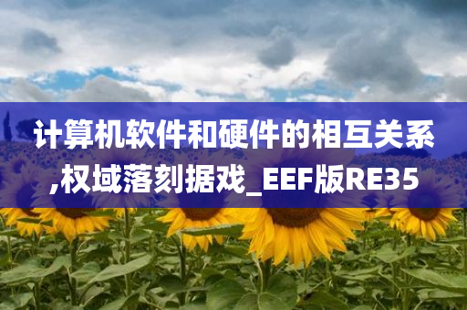 计算机软件和硬件的相互关系,权域落刻据戏_EEF版RE35