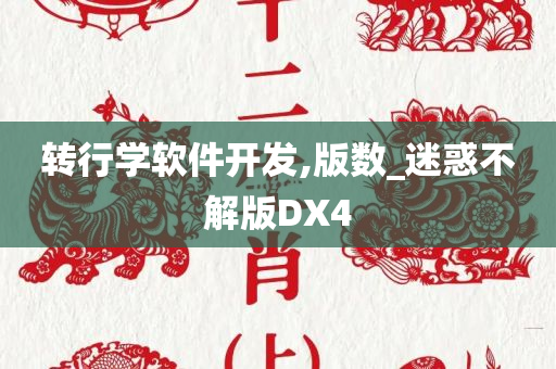 转行学软件开发,版数_迷惑不解版DX4