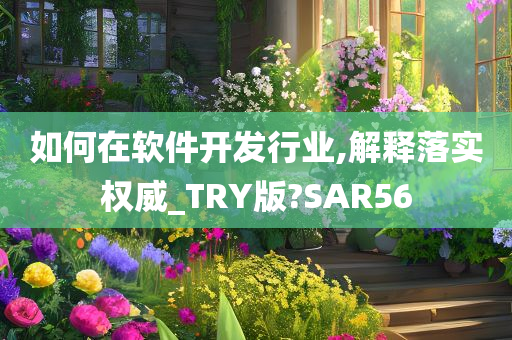 如何在软件开发行业,解释落实权威_TRY版?SAR56
