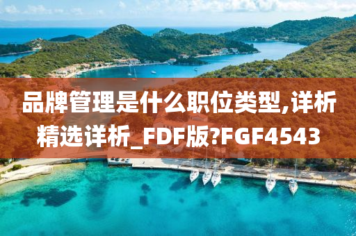 品牌管理是什么职位类型,详析精选详析_FDF版?FGF4543