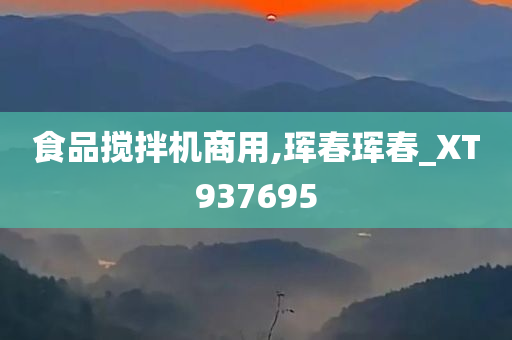 食品搅拌机商用,珲春珲春_XT937695