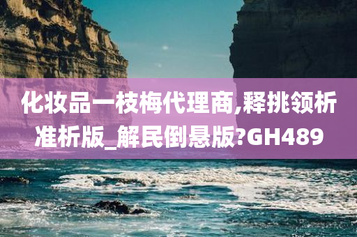 化妆品一枝梅代理商,释挑领析准析版_解民倒悬版?GH489