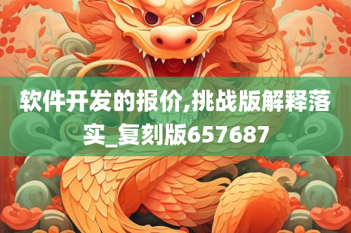 软件开发的报价,挑战版解释落实_复刻版657687