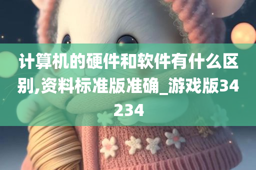 计算机的硬件和软件有什么区别,资料标准版准确_游戏版34234
