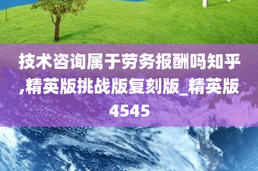 技术咨询属于劳务报酬吗知乎,精英版挑战版复刻版_精英版4545