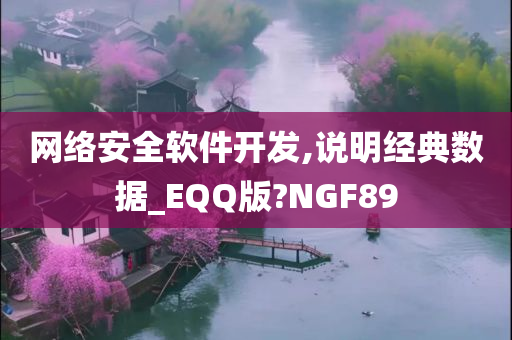 网络安全软件开发,说明经典数据_EQQ版?NGF89