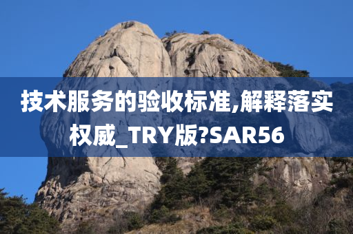 技术服务验收标准
