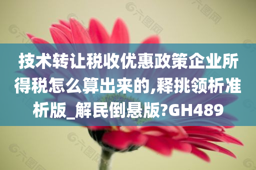 技术转让税收优惠政策企业所得税怎么算出来的,释挑领析准析版_解民倒悬版?GH489