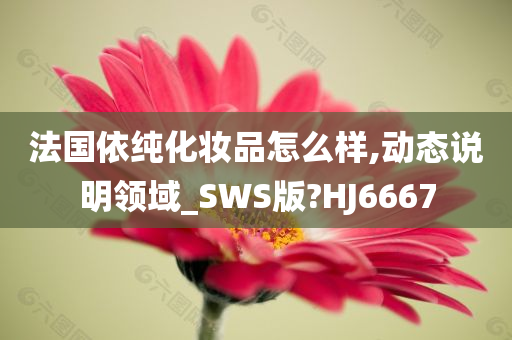 法国依纯化妆品怎么样,动态说明领域_SWS版?HJ6667