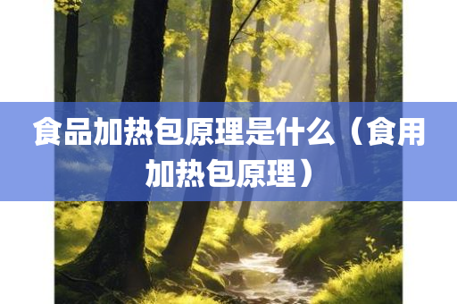 食品加热包原理是什么（食用加热包原理）