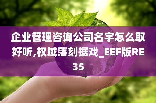 企业管理咨询公司名字怎么取好听,权域落刻据戏_EEF版RE35
