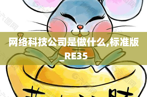 网络科技公司是做什么,标准版_RE35