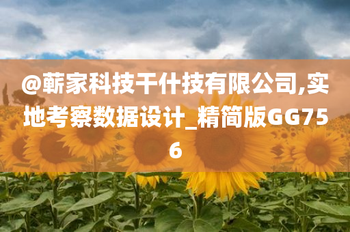 @蕲家科技干什技有限公司,实地考察数据设计_精简版GG756