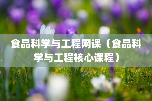 食品科学与工程网课（食品科学与工程核心课程）