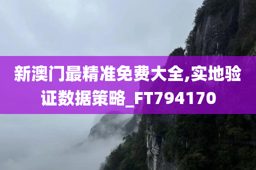 新澳门最精准免费大全,实地验证数据策略_FT794170