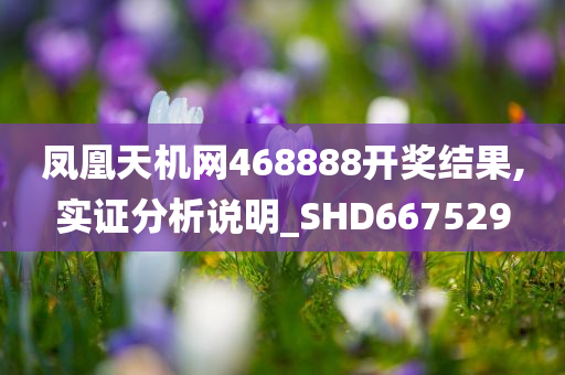 凤凰天机网468888开奖结果,实证分析说明_SHD667529