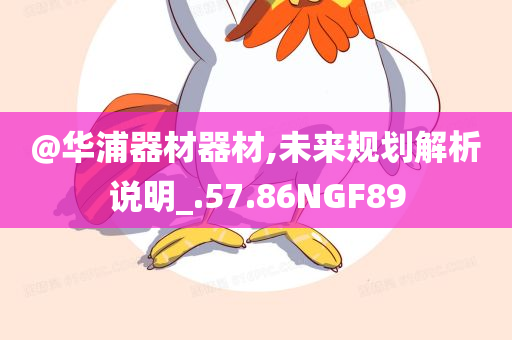 @华浦器材器材,未来规划解析说明_.57.86NGF89
