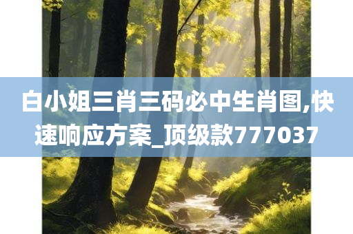 白小姐三肖三码必中生肖图,快速响应方案_顶级款777037