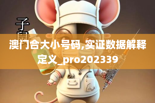 澳门合大小号码,实证数据解释定义_pro202339