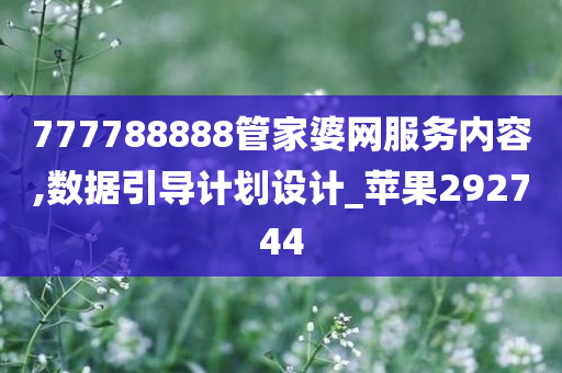 777788888管家婆网服务内容,数据引导计划设计_苹果292744
