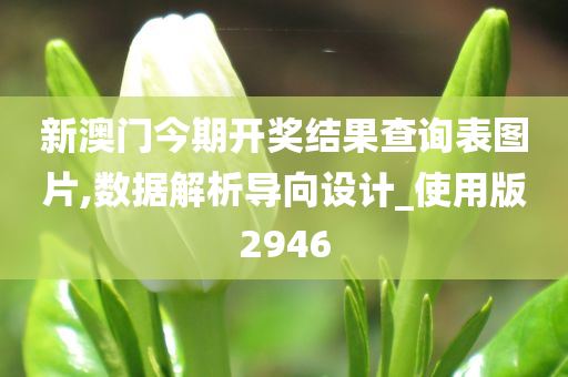 新澳门今期开奖结果查询表图片,数据解析导向设计_使用版2946