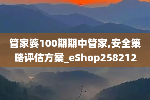 管家婆100期期中管家,安全策略评估方案_eShop258212