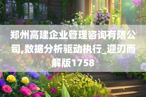 郑州高建企业管理咨询有限公司,数据分析驱动执行_迎刃而解版1758