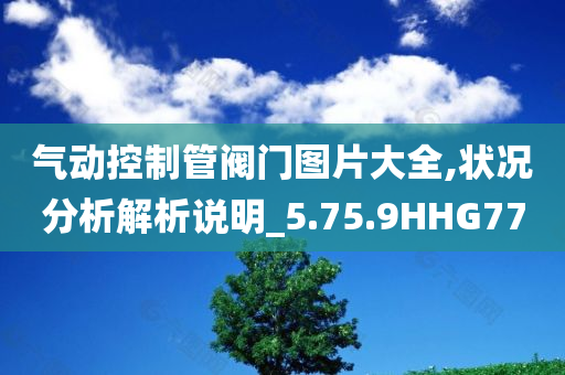 气动控制管阀门图片大全,状况分析解析说明_5.75.9HHG77