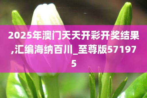 2025年澳门天天开彩开奖结果,汇编海纳百川_至尊版571975