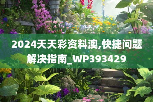 2024天天彩资料澳,快捷问题解决指南_WP393429