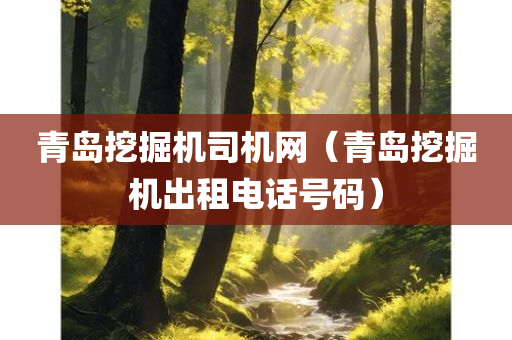 青岛挖掘机司机网（青岛挖掘机出租电话号码）