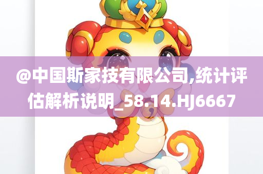 @中国斯家技有限公司,统计评估解析说明_58.14.HJ6667