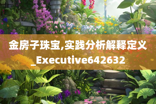 金房子珠宝,实践分析解释定义_Executive642632
