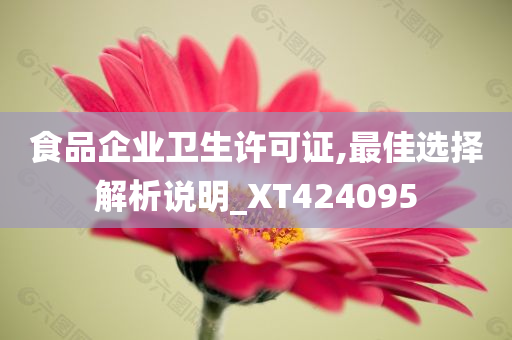 食品企业卫生许可证,最佳选择解析说明_XT424095