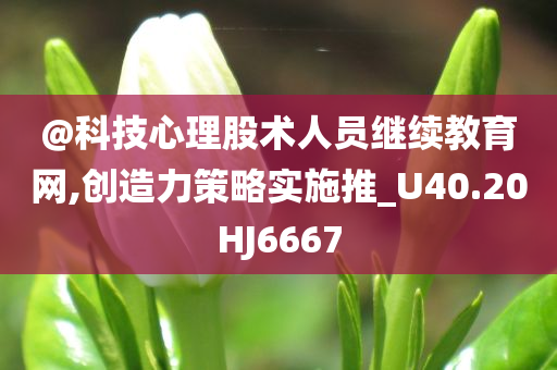 @科技心理股术人员继续教育网,创造力策略实施推_U40.20HJ6667
