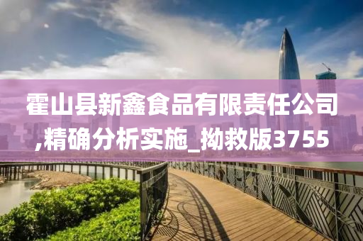 霍山县新鑫食品有限责任公司,精确分析实施_拗救版3755