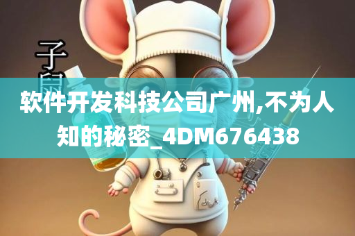 软件开发科技公司广州,不为人知的秘密_4DM676438