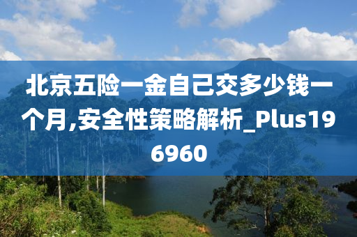 北京五险一金自己交多少钱一个月,安全性策略解析_Plus196960
