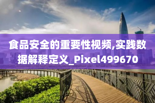 食品安全的重要性视频,实践数据解释定义_Pixel499670