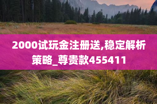 2000试玩金注册送,稳定解析策略_尊贵款455411