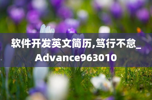 软件开发英文简历,笃行不怠_Advance963010