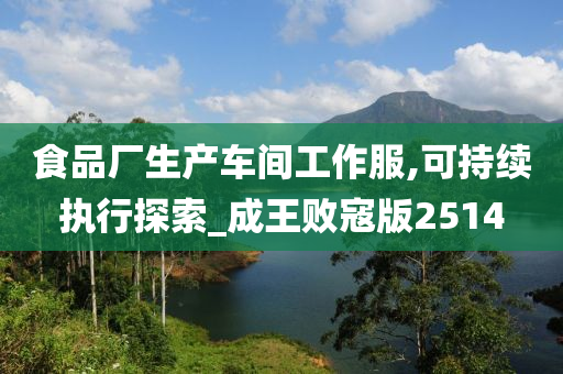 食品厂生产车间工作服,可持续执行探索_成王败寇版2514