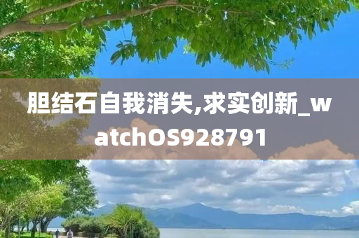 胆结石自我消失,求实创新_watchOS928791