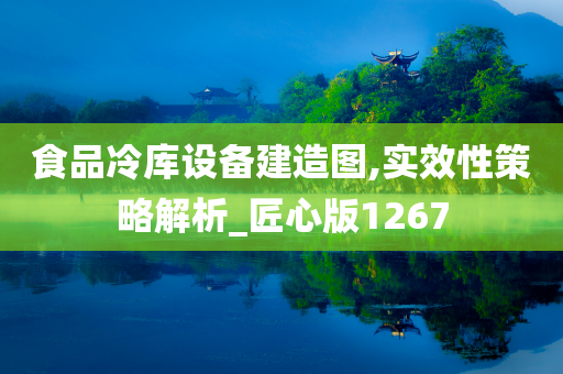 食品冷库设备建造图,实效性策略解析_匠心版1267
