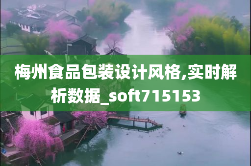 梅州食品包装设计风格,实时解析数据_soft715153