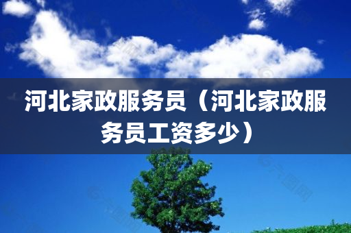 河北家政服务员（河北家政服务员工资多少）