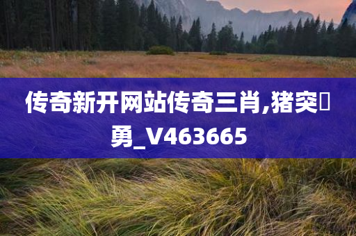 传奇新开网站传奇三肖,猪突豨勇_V463665