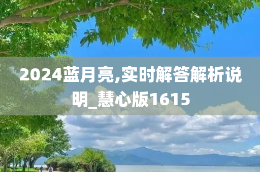 2024蓝月亮,实时解答解析说明_慧心版1615