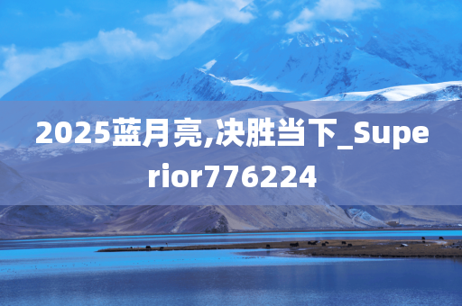 2025蓝月亮,决胜当下_Superior776224